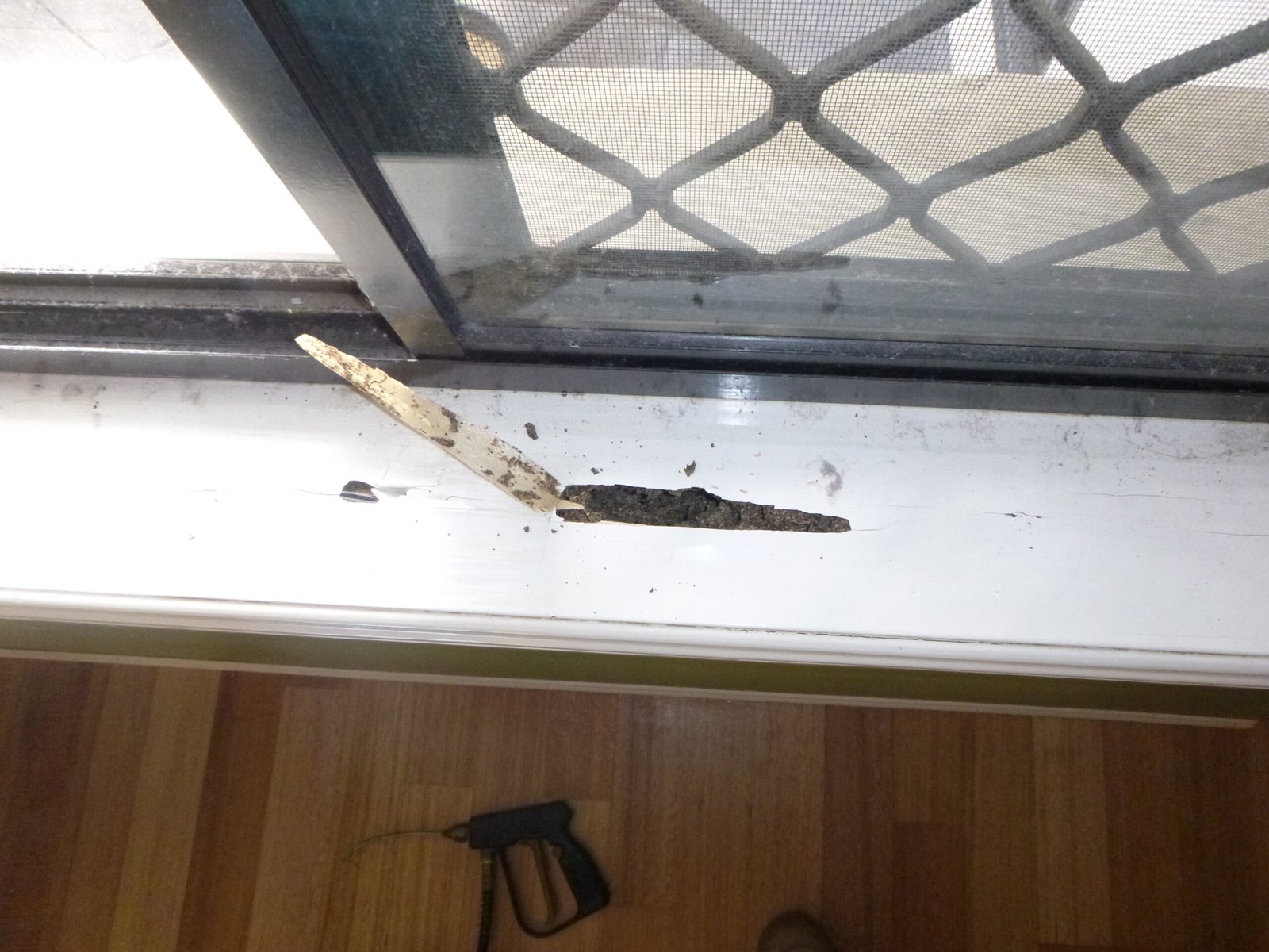 Termite damage may be hiding a millimete under the surface of your new home!