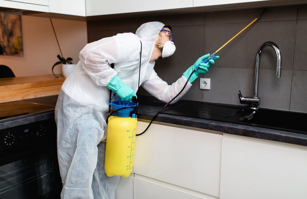 An image of a professional pest control.