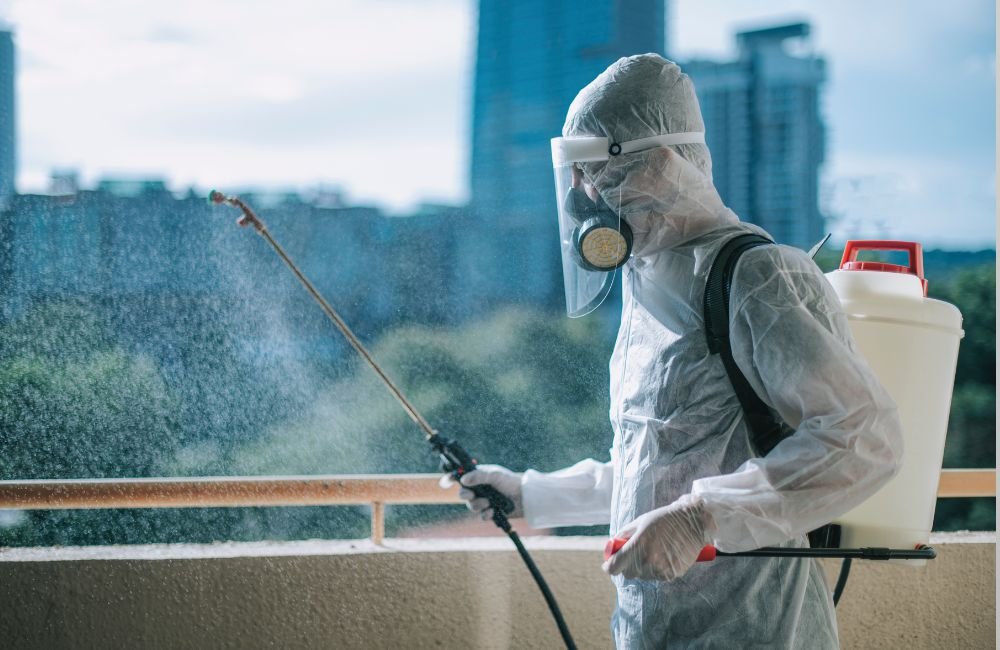 An image of a contractor doing pest control.