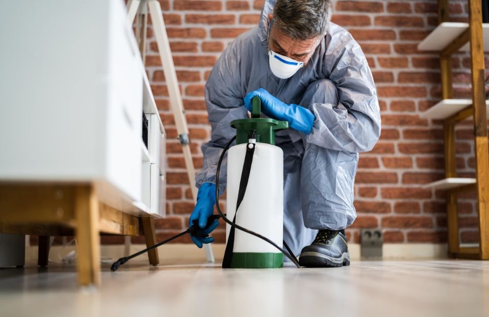 An image of a winter pest control.